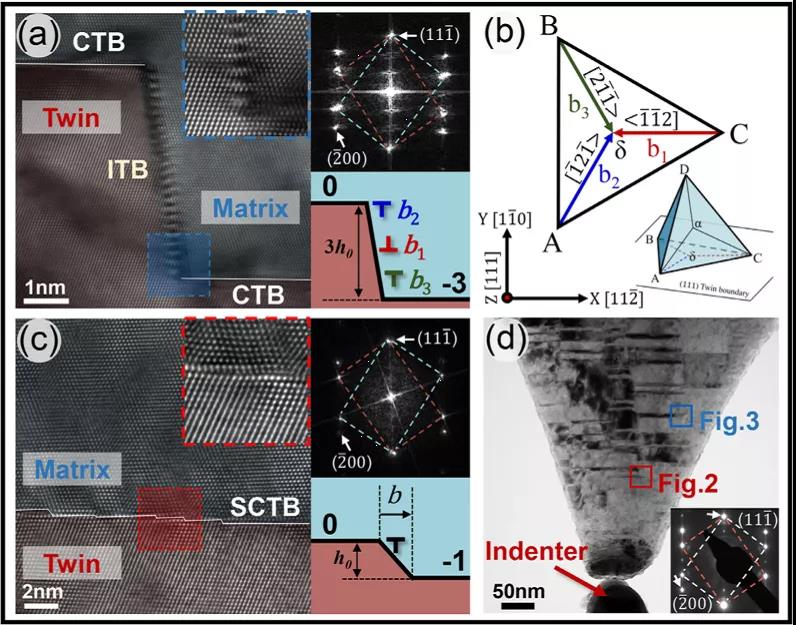 原位雙傾樣品桿實驗觀察 原位雙傾樣品桿實驗觀察