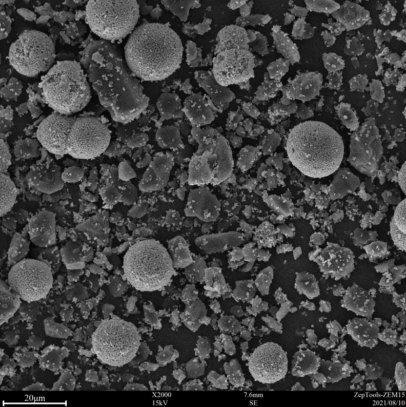 2000倍臺式掃描電鏡拍攝圖 2000倍臺式掃描電鏡拍攝圖