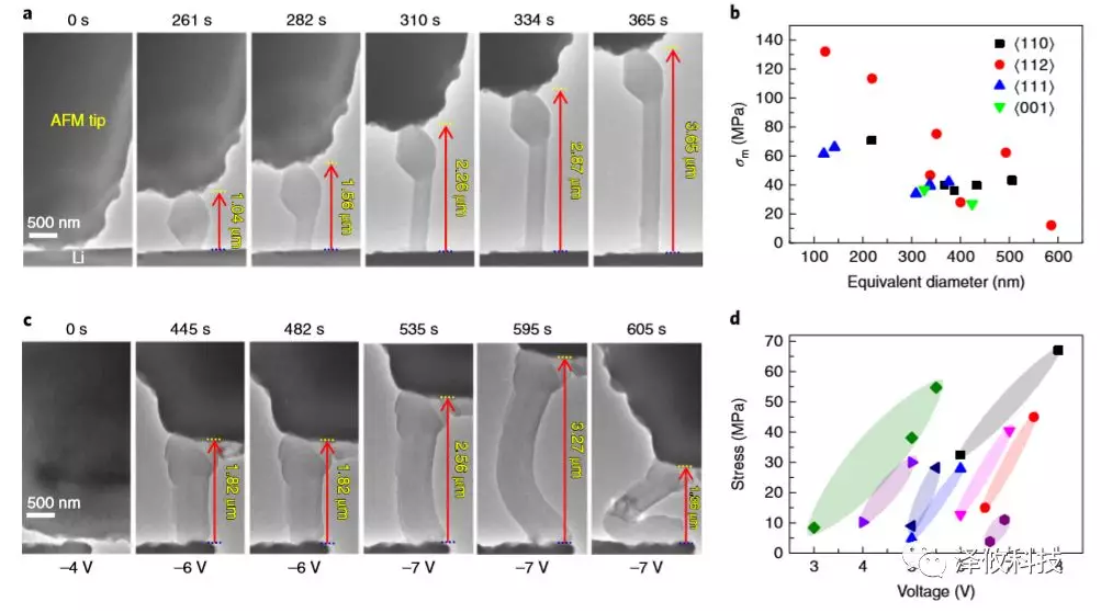 鋰晶須生長(zhǎng)的原位AFM-ETEM成像以及在施加電壓下同時(shí)測(cè)量鋰晶須的應(yīng)力變化。