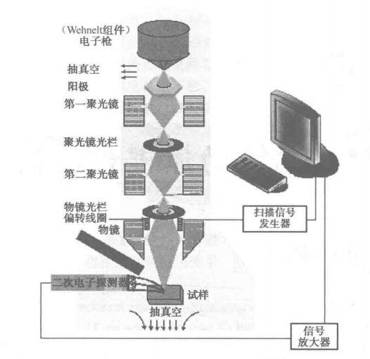 臺式掃描電子顯微鏡結(jié)構(gòu)原理示意圖 臺式掃描電子顯微鏡結(jié)構(gòu)原理示意圖