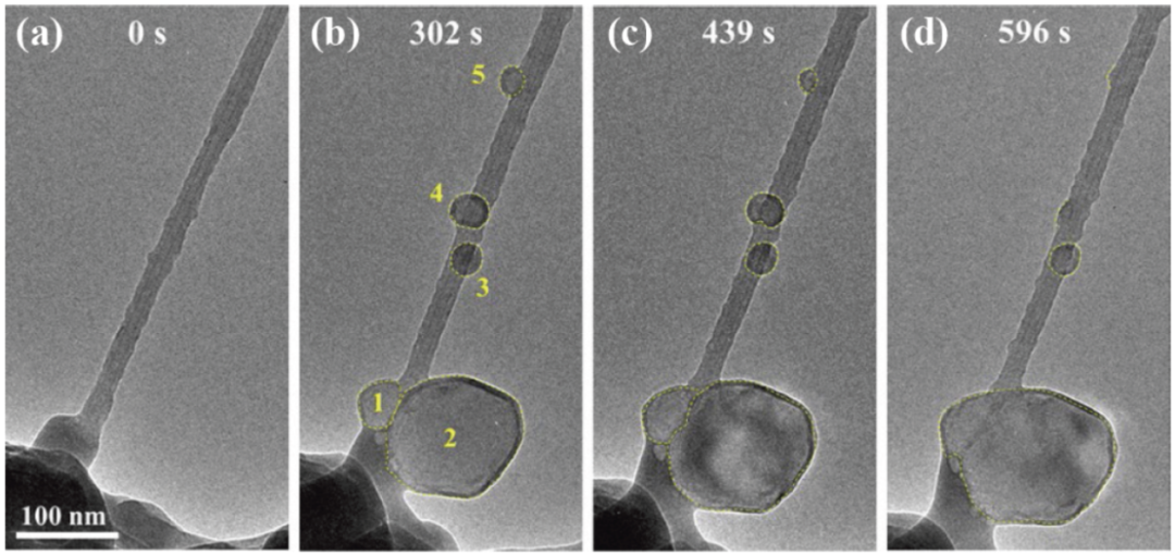圖2 沉積在MWCNT/Na2CO3/CO2上的納金屬的EOR過(guò)程