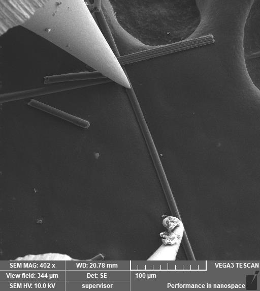 SEM納米探針臺(tái)(圖4) SEM納米探針臺(tái)應(yīng)用——對(duì)一維材料的電學(xué)測(cè)量3.jpg