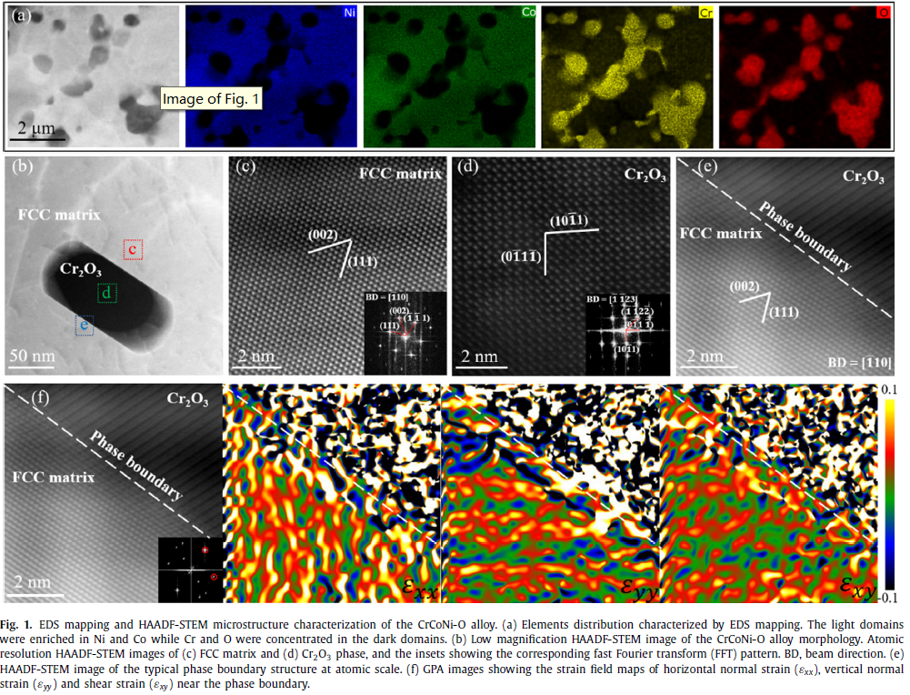 圖1 CrCoNi-O 合金的前期微觀結(jié)構(gòu)表征.png 圖1 CrCoNi-O 合金的前期微觀結(jié)構(gòu)表征.png