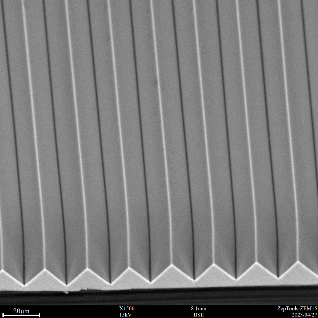 3M增量膜表面微觀結(jié)構(gòu)的SEM觀察， BSE圖像