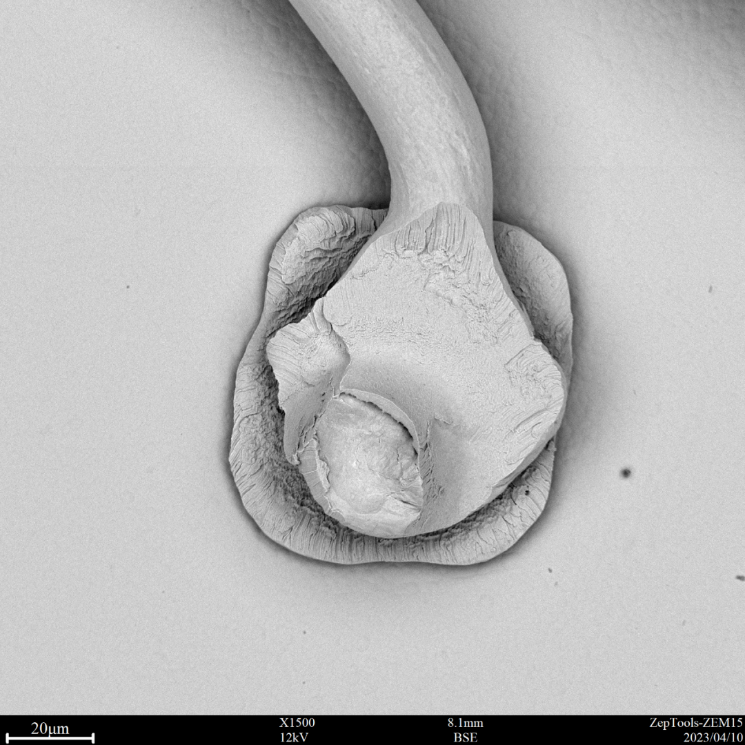電子元器件焊點檢測 電子元器件焊點檢測