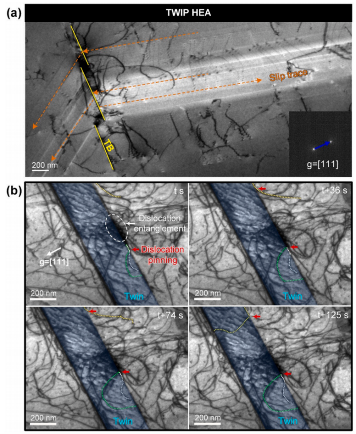 NiCoCrO合金與TWIP HEA的原位TEM拉伸實(shí)驗(yàn) NiCoCrO合金與TWIP HEA的原位TEM拉伸實(shí)驗(yàn)