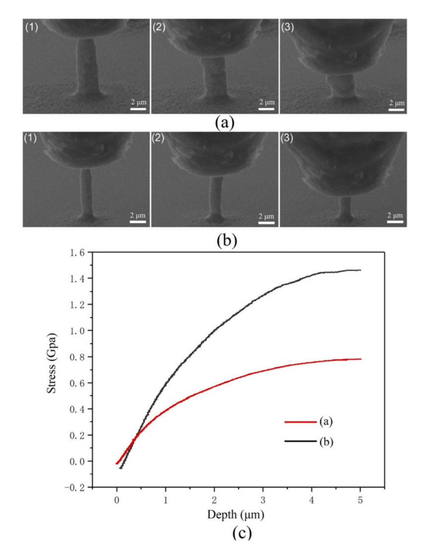 SEM微壓縮實驗 SEM微壓縮實驗