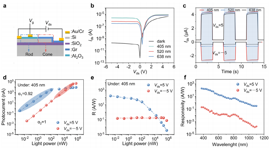 雙模光電探測器的光檢測性能