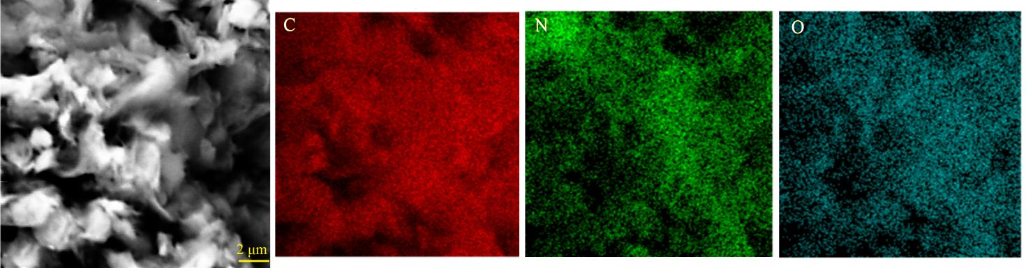 GO與三聚氰胺(1:2)混合體系在550℃熱處理后的微觀形貌及表面元素分布特征 GO與三聚氰胺(1:2)混合體系在550℃熱處理后的微觀形貌及表面元素分布特征
