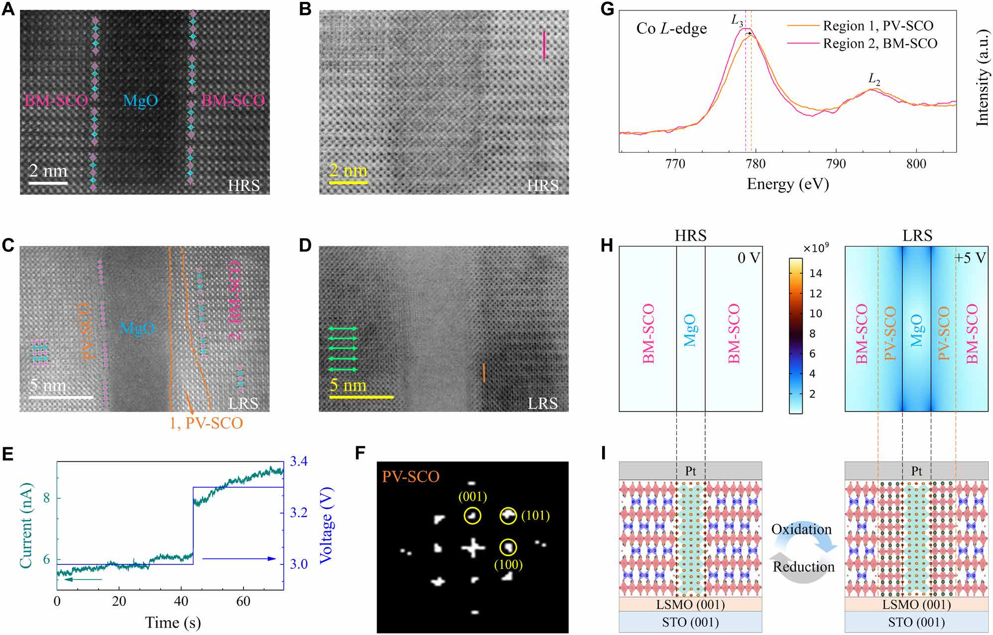 澤攸科技原位TEM
