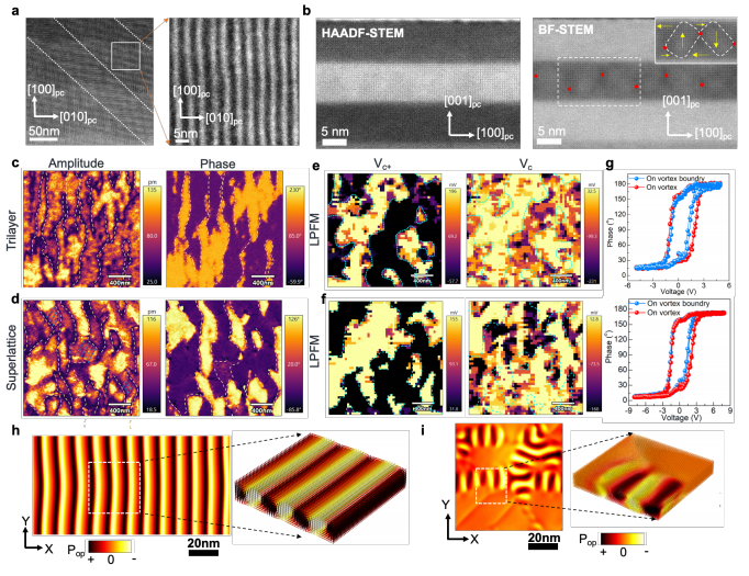 澤攸科技原位TEM