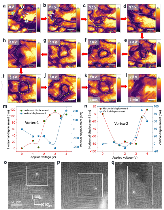 澤攸科技原位TEM