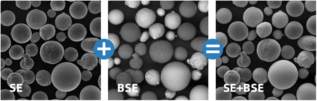 電子顯微鏡技術(shù) 電子顯微鏡技術(shù)