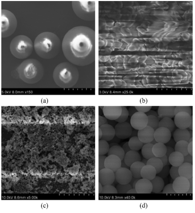 澤攸科技掃描電鏡 澤攸科技掃描電鏡
