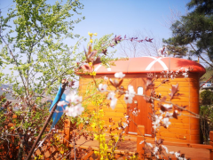 廣交會丨春暖花開季，木屋踏青來