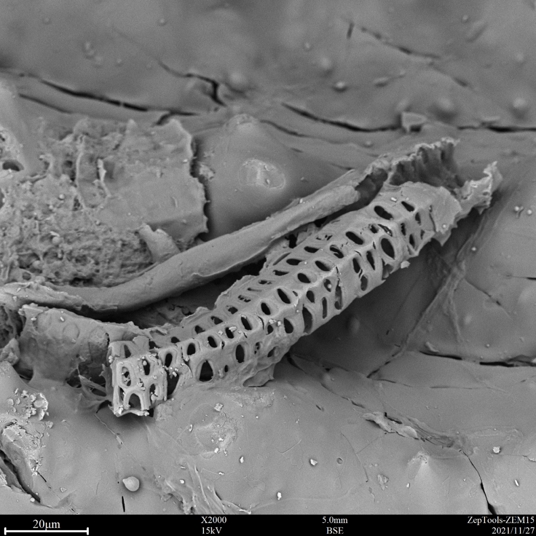 ZEM15臺式掃描電鏡在司法鑒定行業(yè)發(fā)揮著不可忽略的作用(圖1)